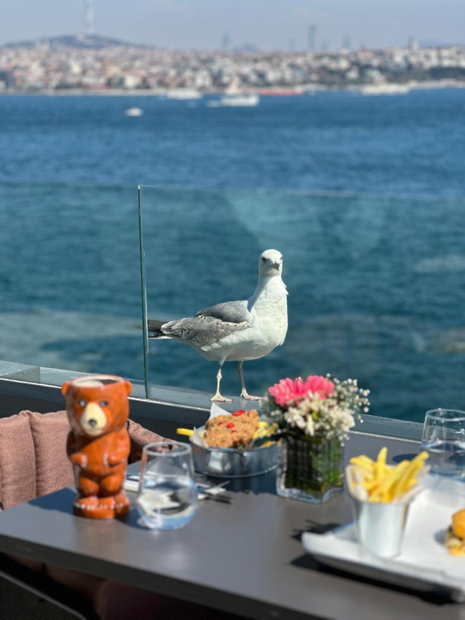 Pera Bosphorus Hotel Estambul Exterior foto